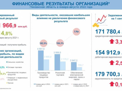 Финансовые результаты организаций Пензенской области (без субъектов малого предпринимательства) за январь-август 2022 года