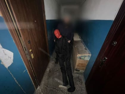 Пензенец до смерти забил знакомого разделочной доской за потревоженный сон