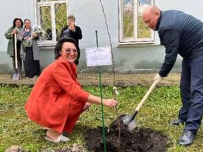 В ПРЕДДВЕРИИ 30-ЛЕТИЯ ТЕРРИТОРИАЛЬНОГО ФОНДА ОБЯЗАТЕЛЬНОГО МЕДИЦИНСКОГО СТРАХОВАНИЯ ПЕНЗЕНСКОЙ ОБЛАСТИ ВЫСАЖЕНЫ ПЛОДОВЫЕ ДЕРЕВЬЯ