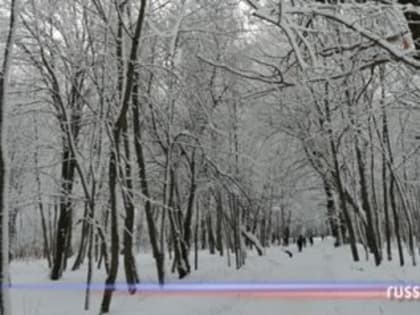 Пензенцев предупреждают о сильных порывах ветра 25 февраля