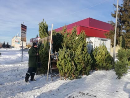 В МЧС показали, как горят новогодние елки в домах: видео