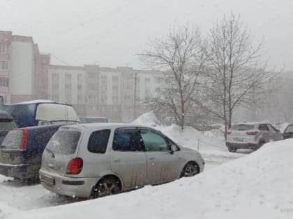 В пятницу в Пензенскую область придет плюсовая температура
