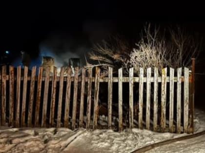 В Пензенской области с начала года произошло более 60 пожаров, погибли 11 человек