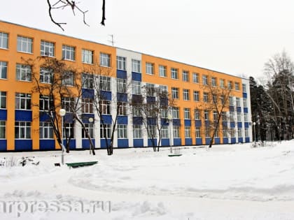 Проведут ли в зареченских школах встречу выпускников в феврале?