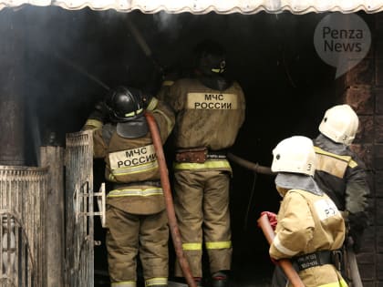 В Иссинском районе выясняют обстоятельства гибели женщины при пожаре