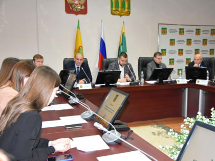 В городской Думе состоялось заседание Общественного молодежного совета