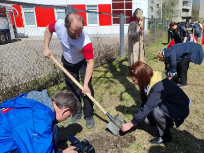 В Пензе появилась каштановая аллея Почетных доноров