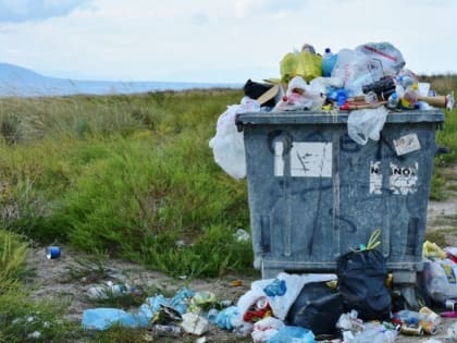 В Пензенской области ввели штрафы за плохое содержание контейнерных площадок