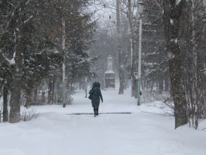 Стало известно, какая погода в Пензенской области ожидается в выходные