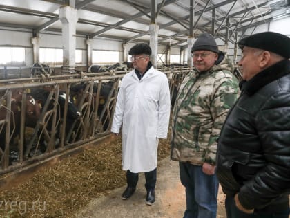 Олег Мельниченко осмотрел новый объект молочного животноводства в Белинском районе