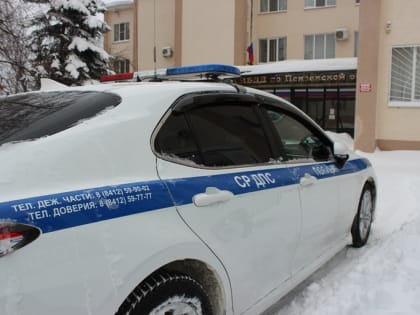 В Пензенской области полицейские помогли водителю, застрявшему на трассе