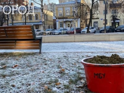 В Пензенской области 4 января ожидаются мокрый снег с дождем