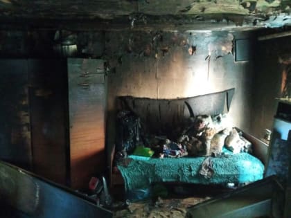 Опубликованы фотографии с места жуткого пожара в Каменке