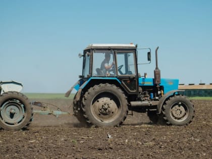Создание агротехнопарка в Пензе: новые возможности для бизнеса