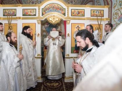 Вопросы веры. Новости Пензенской митрополии