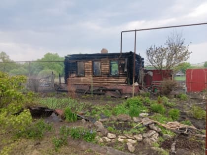 Обнародованы фото с места гибели 74-летнего пенсионера в Пензенской области