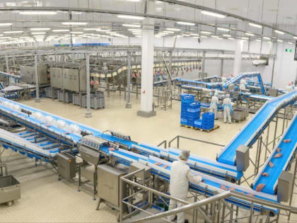Рост экспорта пензенских продуктов в Китай