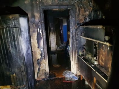 В Пензе проходит проверка по факту смерти 69-летнего мужчины при пожаре