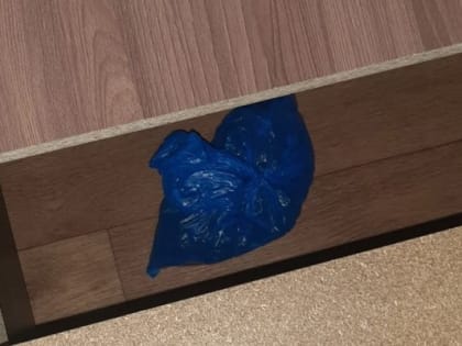 Полицейские в Пензе в съемном жилище у мужчины изъяли наркотики в особо крупном размере