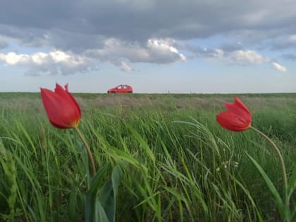 Продажи электромобилей в России продемонстрируют новый рекорд по итогам 2024 года