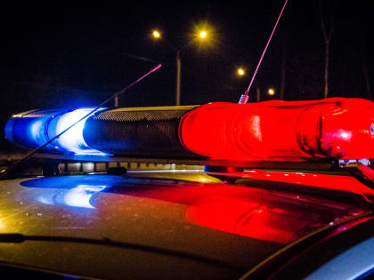 В Пензенской области на пьяном вождении попался 60-летний сельчанин