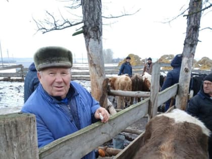 Важная ветпрофилактика