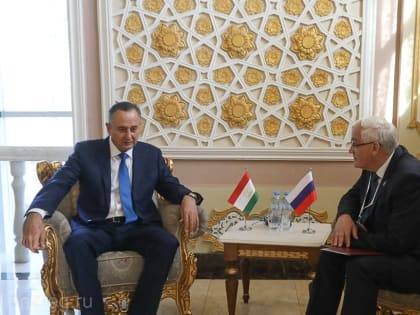 Председатель правительства Пензенской области провел рабочую встречу с и.о. председателя Хатлонской области