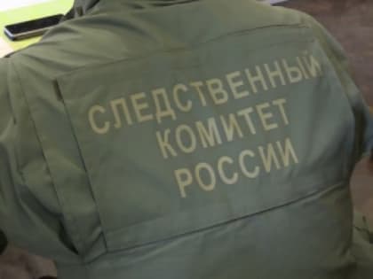 Пензенский СК возбудил дело из-за гибели женщины и ребенка от угарного газа