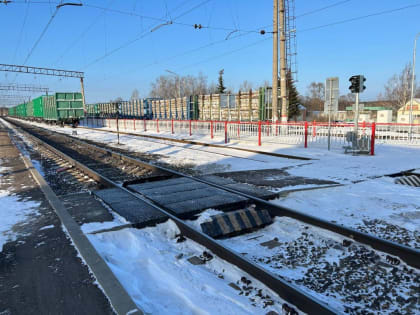 Зерно из Пензенской области экспортировали в Латвию, Польшу, Турцию и Иран