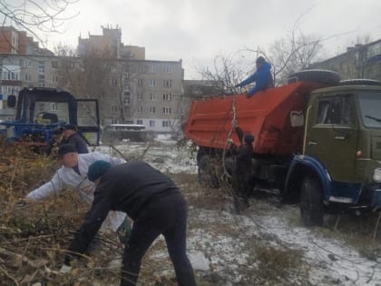 Вадим Супиков решил вопрос по вывозу сухостоя с территории пензенской школы