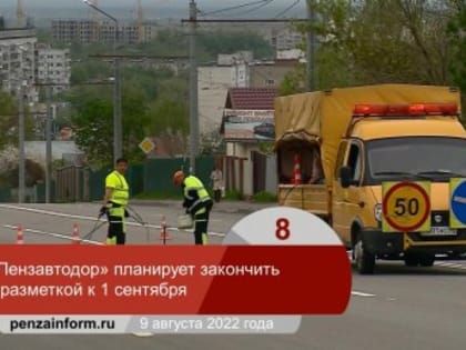 Итоги недели: разметка, отсутствие горячей воды и стрельба по собакам