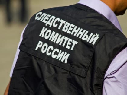СК выясняет обстоятельства смертельного ЧП в Нижнеломовском районе 