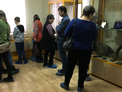 Краеведческий час «Каменка в объективе»