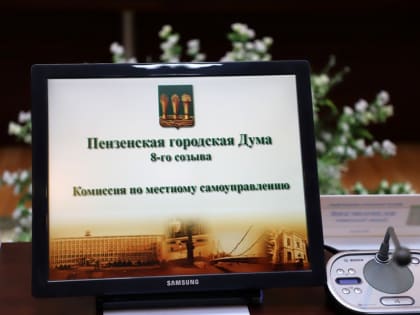 Прошло внеочередное заседание  комиссии по местному самоуправлению