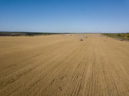 В 2023 году на льготное кредитование агропредприятий Пензенской области направят более 8,0 млрд. рублей