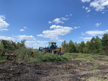 Отбор получателей субсидий на проведение культуртехнических мероприятий  на выбывших сельскохозяйственных угодьях, вовлекаемых в сельскохозяйственный оборот