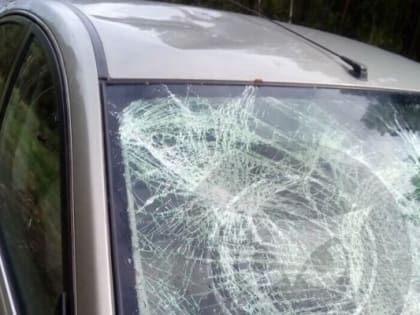 Человек на дороге: жуткое ДТП на улице Калинина