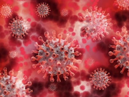 За 3 февраля в Пензенской области не зарегистрировали летальных исходов от коронавируса
