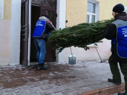 Вадим Супиков оказал содействие в приобретении ёлок для образовательных учреждений