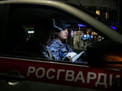 Росгвардейцы задержали двух пьяных мужчин, которые нанесли телесные повреждение 23-летней посетительнице бара