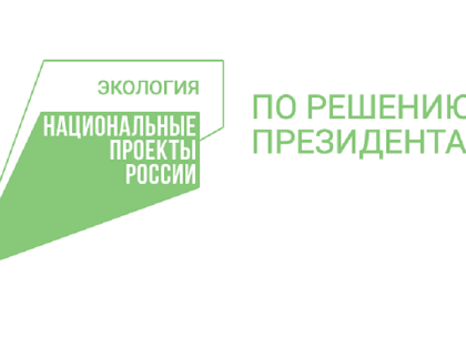 Травматолог рассказал, как вел себя пензенский пеликан Паша во время сложнейшей операции