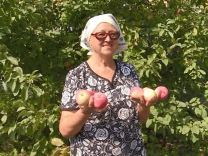 В Пензенской области садоводы приготовили напиток из яблок