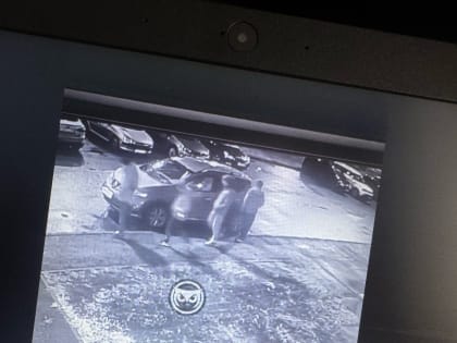 Подростки в Пензе крадут колпачки с автомобильных колес