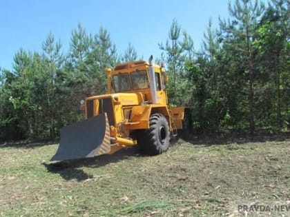 В Пензенской области в оборот вовлечено 7,3 тыс. га неиспользуемой пашни