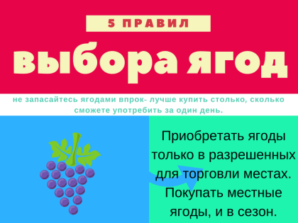 Рекомендации по выбору плодовоовощной продукции, в частности – клубники