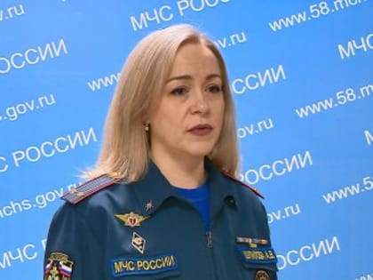 В Шемышейском районе при пожаре в частном доме погиб мужчина