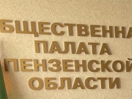 Исключение из Общественной палаты Пензенской области