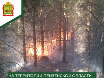 В Пензенской области было ликвидировано три лесных пожара