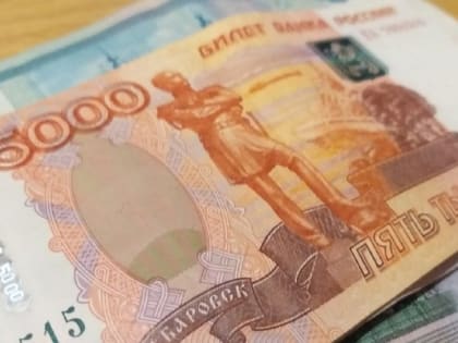 Житель Пензы поверил мошенникам и потерял около 300 тысяч рублей