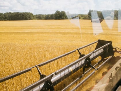 Рост экспорта пензенской сельхозпродукции в условиях геополитической нестабильности